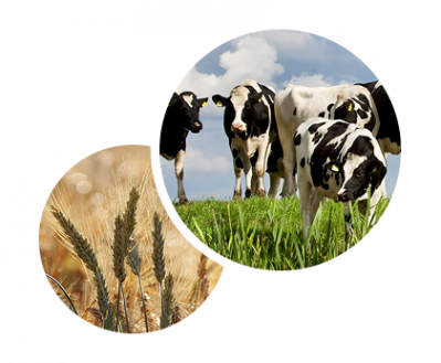 Пора экономить и расти вместе